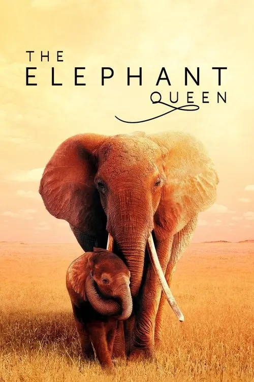 مشاهدة فيلم The Elephant Queen 2019 مترجم