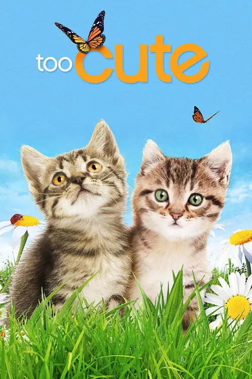 مسلسل Too Cute 2011 مترجم كامل