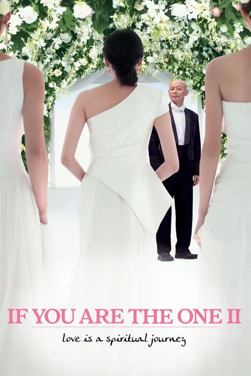 مشاهدة فيلم If You Are the One 2 2010 مترجم