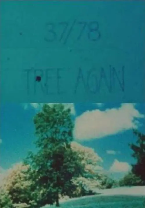 مشاهدة فيلم 37/78: Tree Again 1978 مترجم