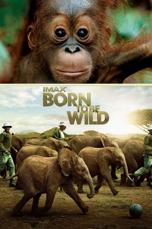 مشاهدة فيلم Born to Be Wild 2011 مترجم