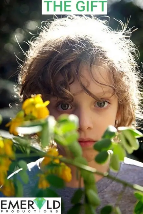 مشاهدة فيلم The Gift 2013 مترجم