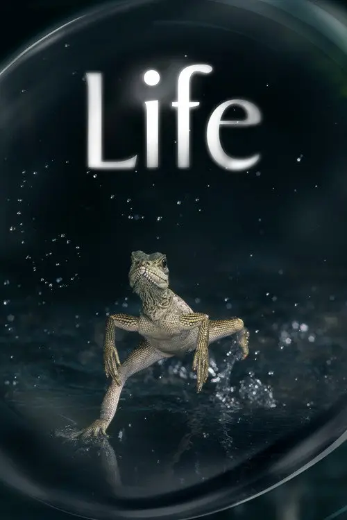 مسلسل Life 2009 مترجم كامل