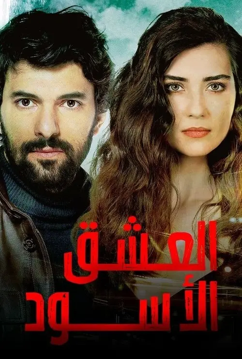 مسلسل Black Money Love 2014 مترجم كامل