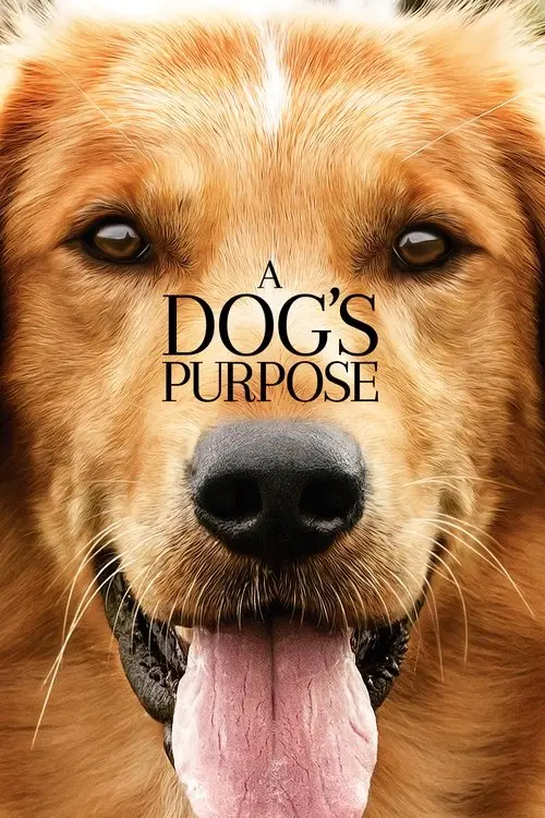 مشاهدة فيلم A Dog's Purpose 2017 مترجم