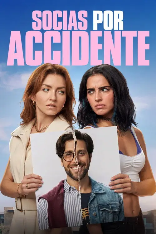 مشاهدة فيلم Accidental Partners 2026 مترجم