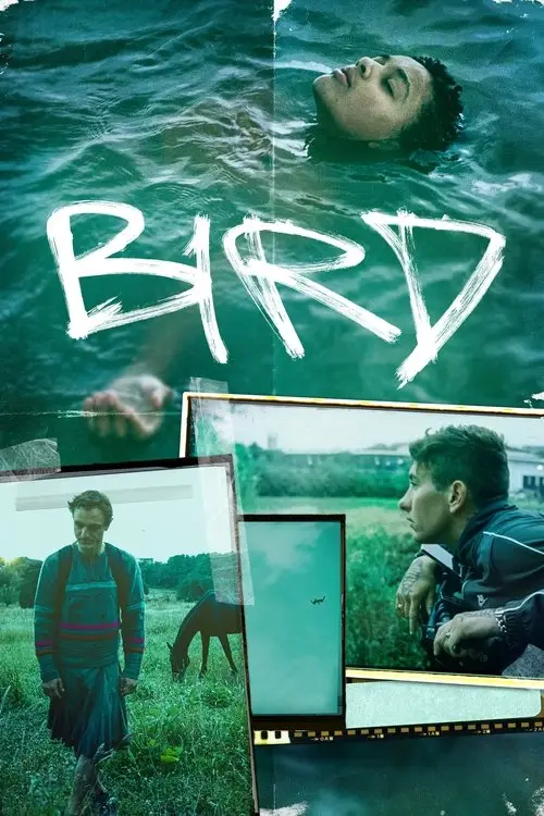 مشاهدة فيلم Bird 2024 مترجم
