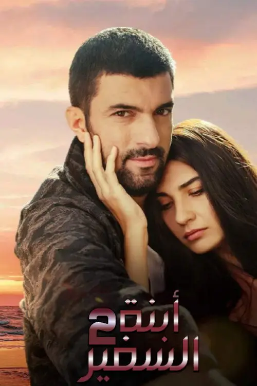 مسلسل The Ambassador's Daughter 2019 مترجم كامل
