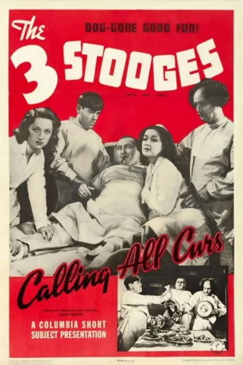 مشاهدة فيلم Calling All Curs 1939 مترجم