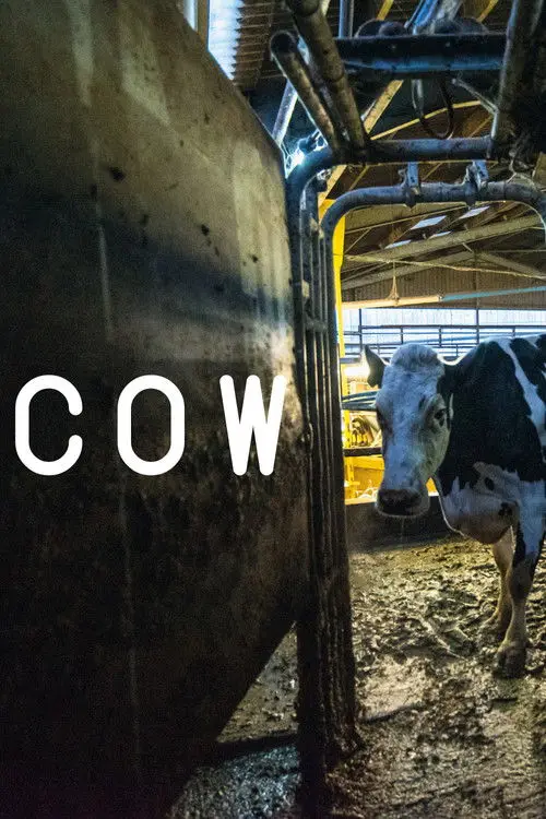 مشاهدة فيلم Cow 2022 مترجم
