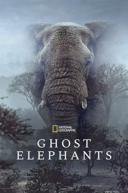 مشاهدة فيلم Ghost Elephants 2026 مترجم