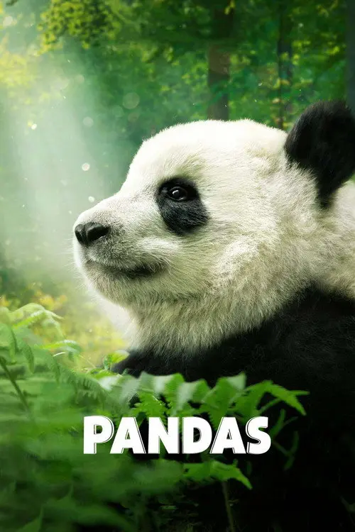 مشاهدة فيلم Pandas 2018 مترجم