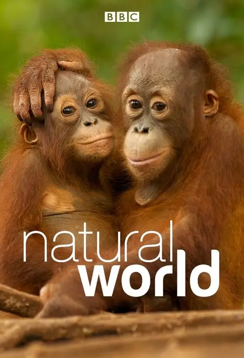 مسلسل Natural World 1983 مترجم كامل