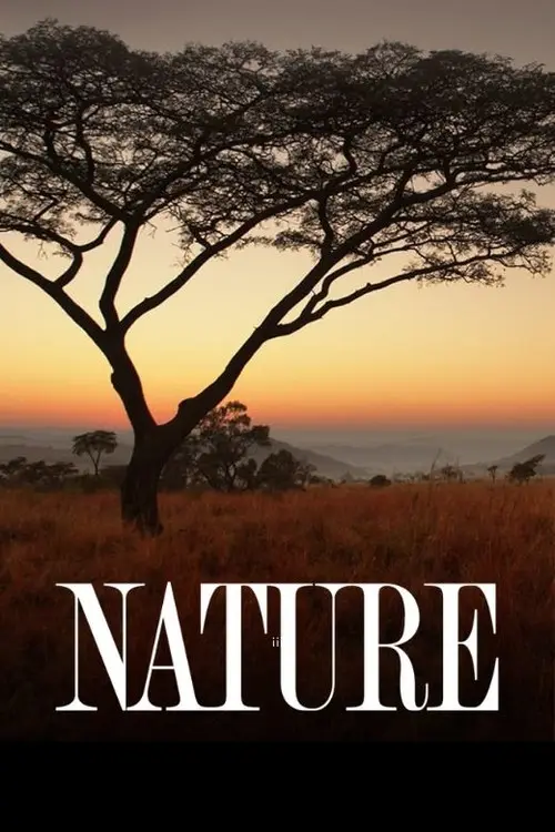 مسلسل Nature 1982 مترجم كامل