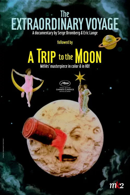 مشاهدة فيلم The Extraordinary Voyage 2011 مترجم