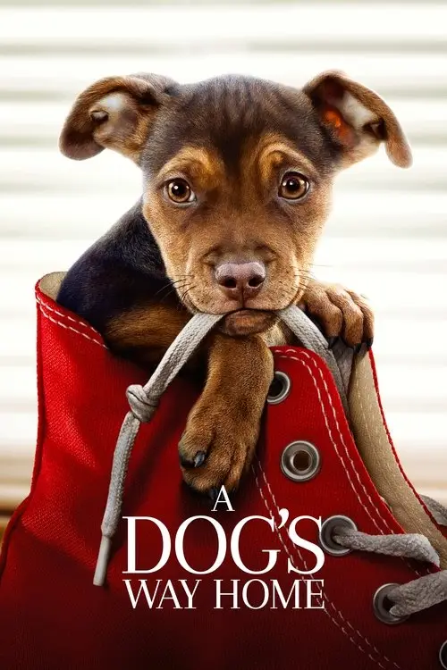 مشاهدة فيلم A Dog's Way Home 2019 مترجم
