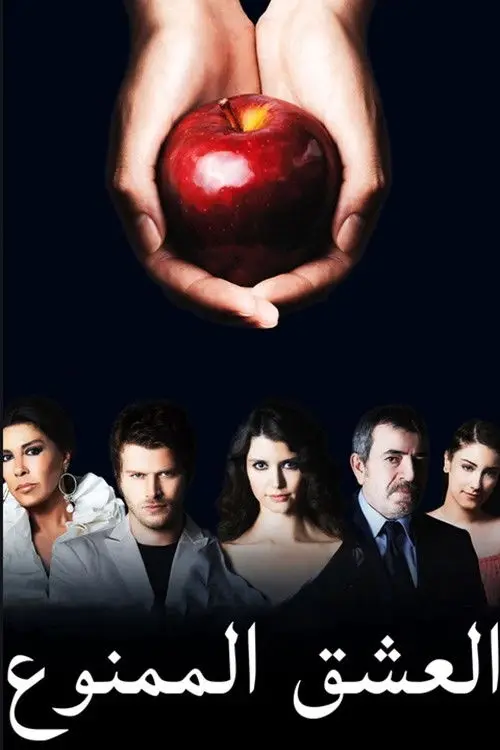 مسلسل Forbidden Love 2008 مترجم كامل