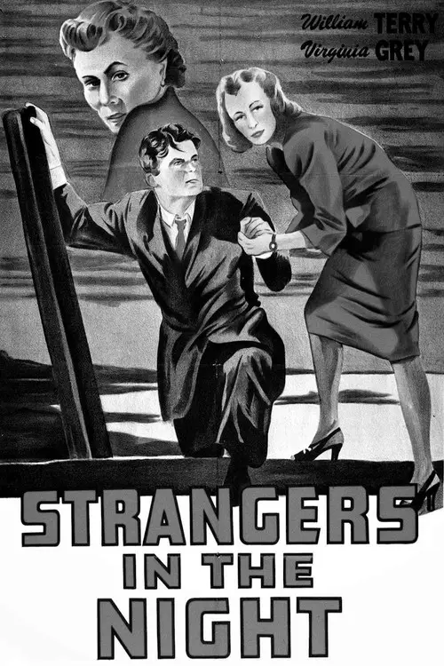 مشاهدة فيلم Strangers in the Night 1944 مترجم