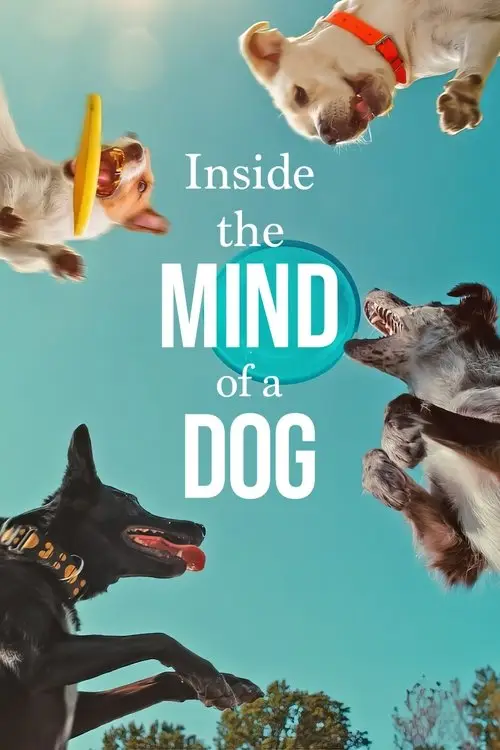 مشاهدة فيلم Inside the Mind of a Dog 2024 مترجم