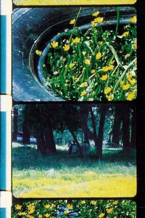 مشاهدة فيلم Bouquets 1-10 1995 مترجم