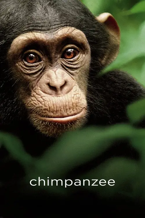 مشاهدة فيلم Chimpanzee 2012 مترجم