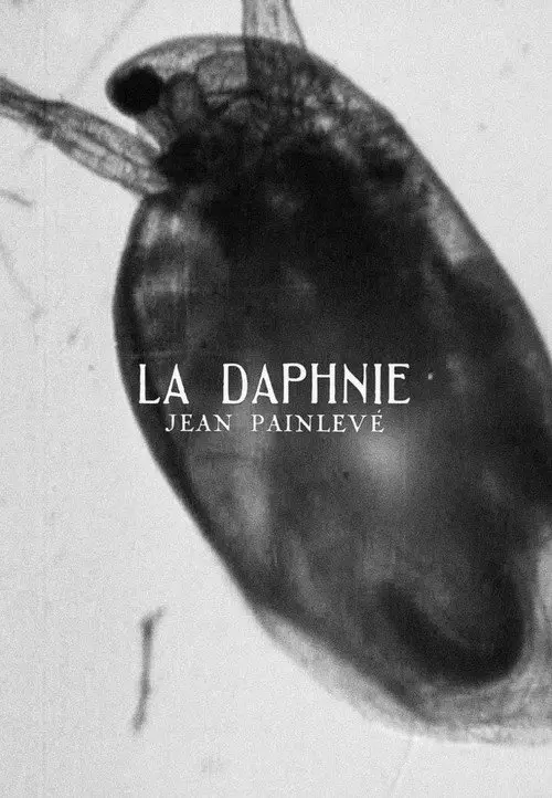 مشاهدة فيلم Daphnia 1928 مترجم